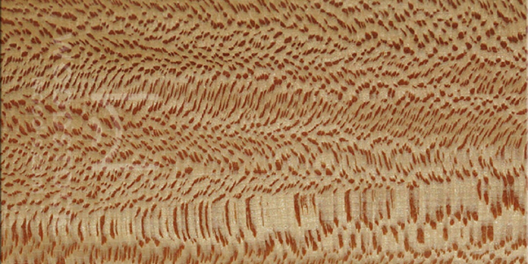 Всё о древесине: лиственные породы